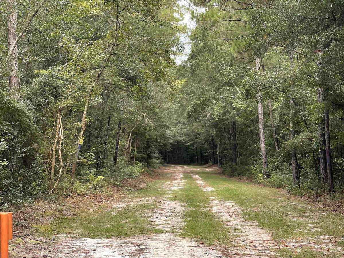 River Road trail photo