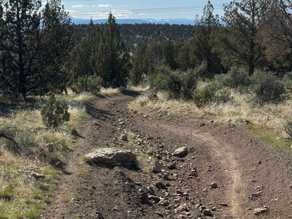 OHV Trail #10 trail photo