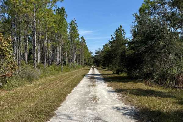 Rattlesnake Road