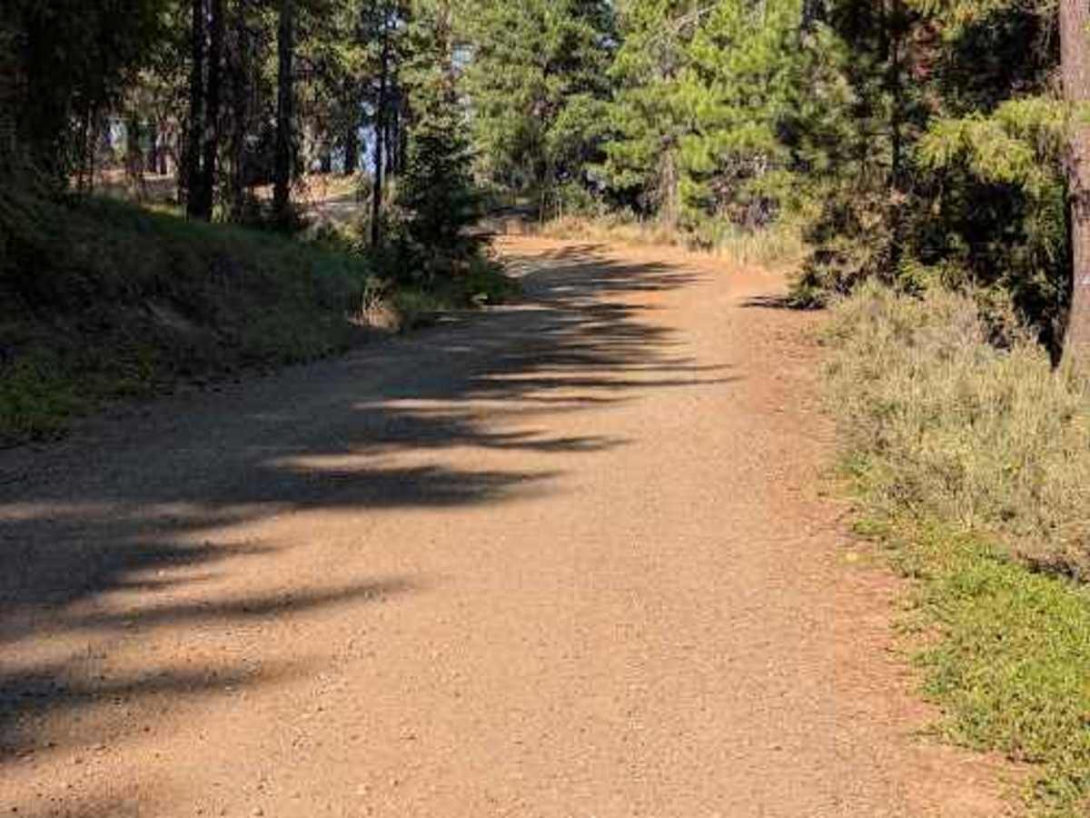 Forest Road 9718 photo 6