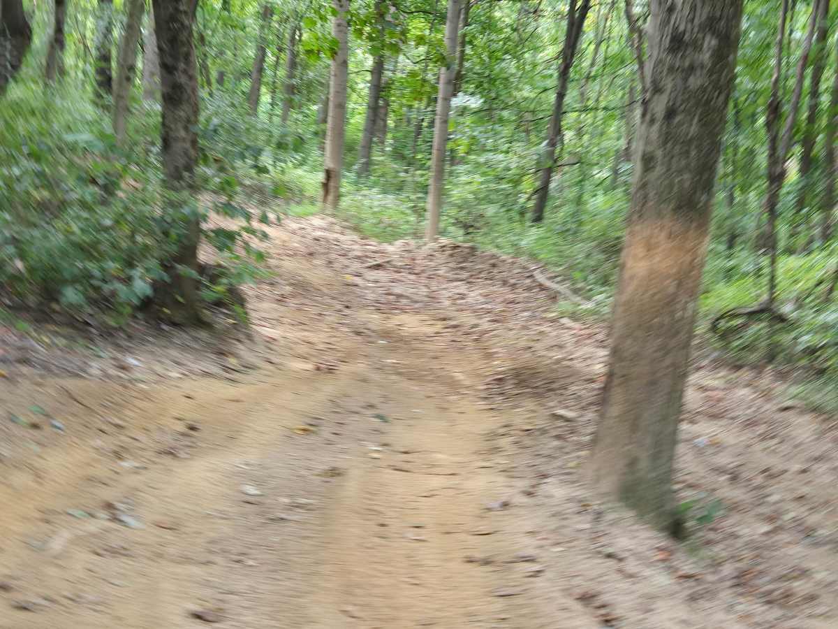 Trail 22 photo 4