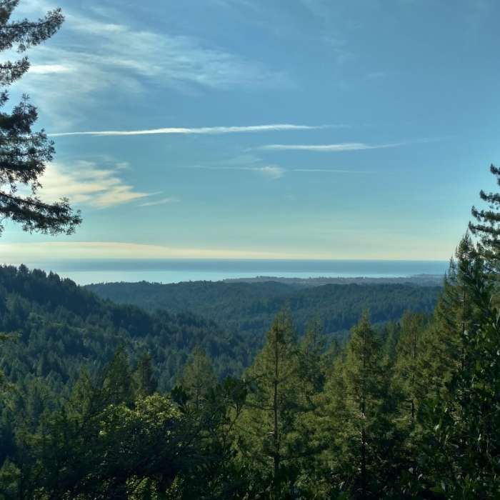 Near Aptos Creek Fire Road