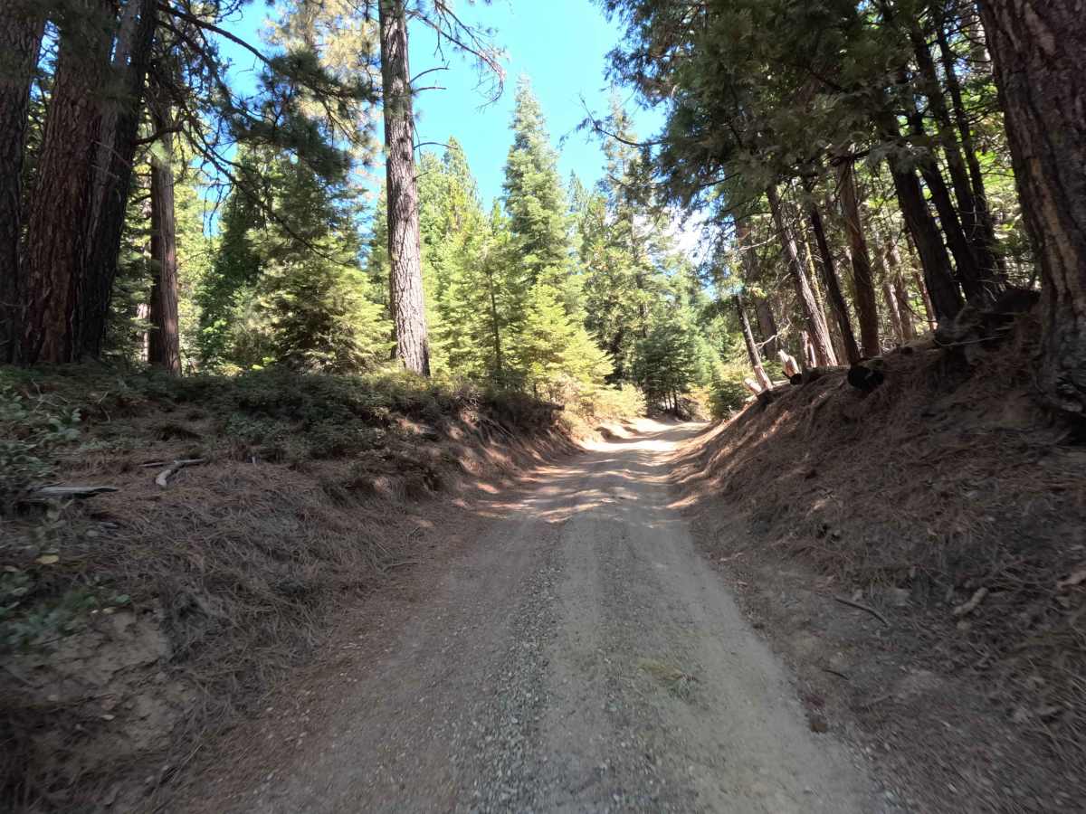 Mount Raymond Road - FS 5S006 photo 6