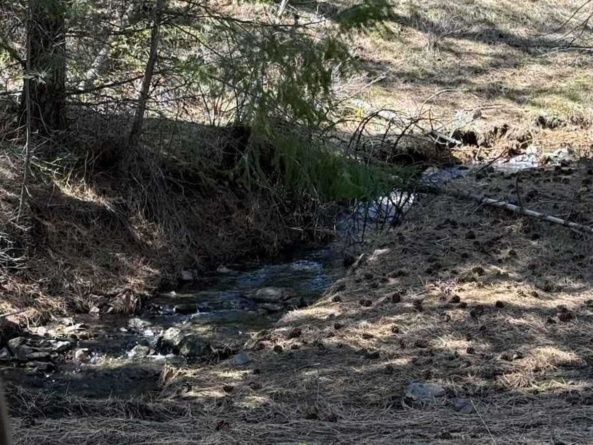 Dawson Canyon Road photo 5