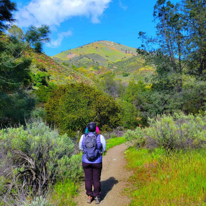 Near Grass Mountain Trail