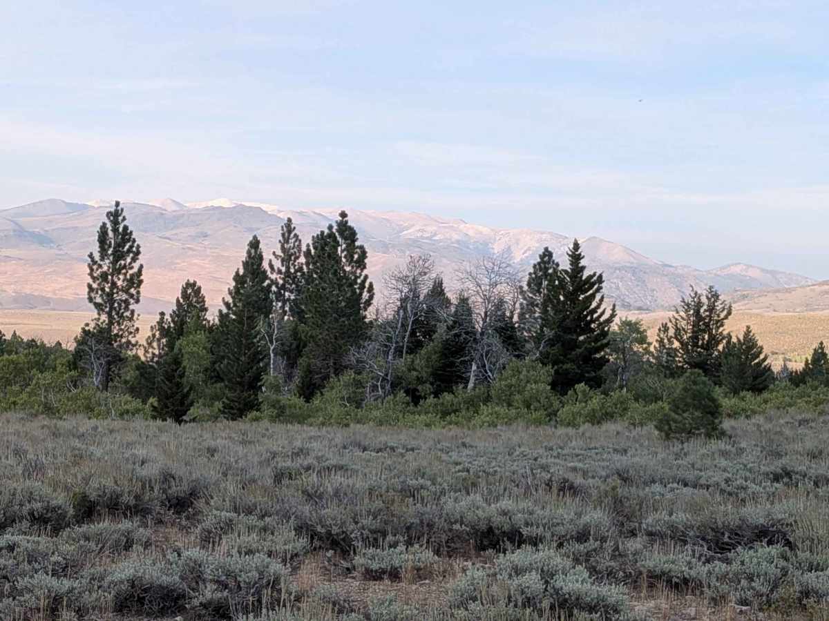 Cow Camp Creek Road photo 4