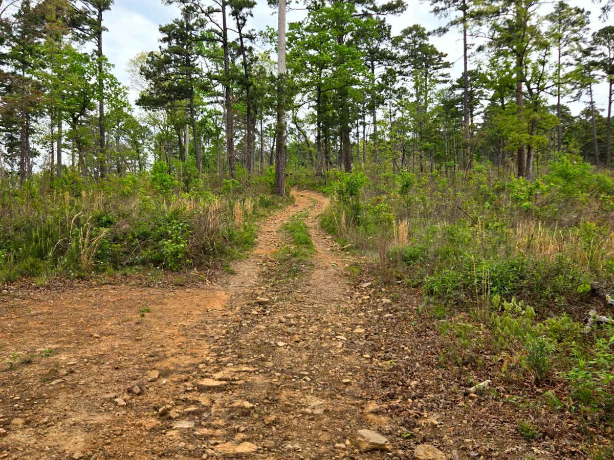 Upper Campbell trail photo