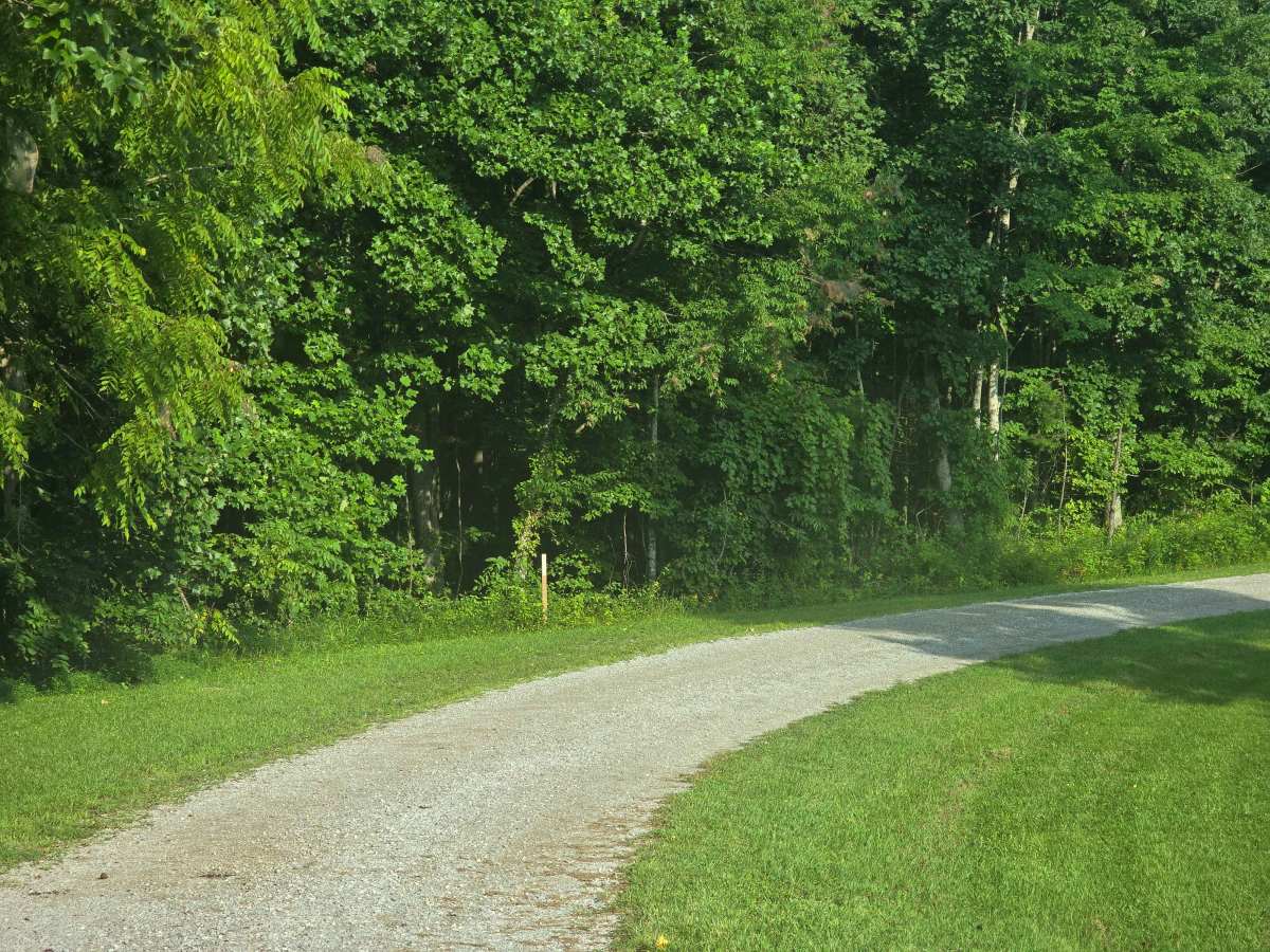 Gernt Road trail photo