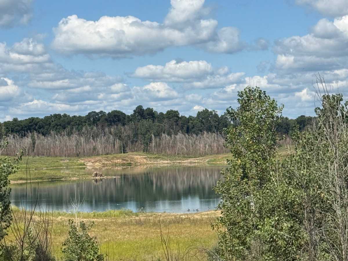 Green Trail trail photo