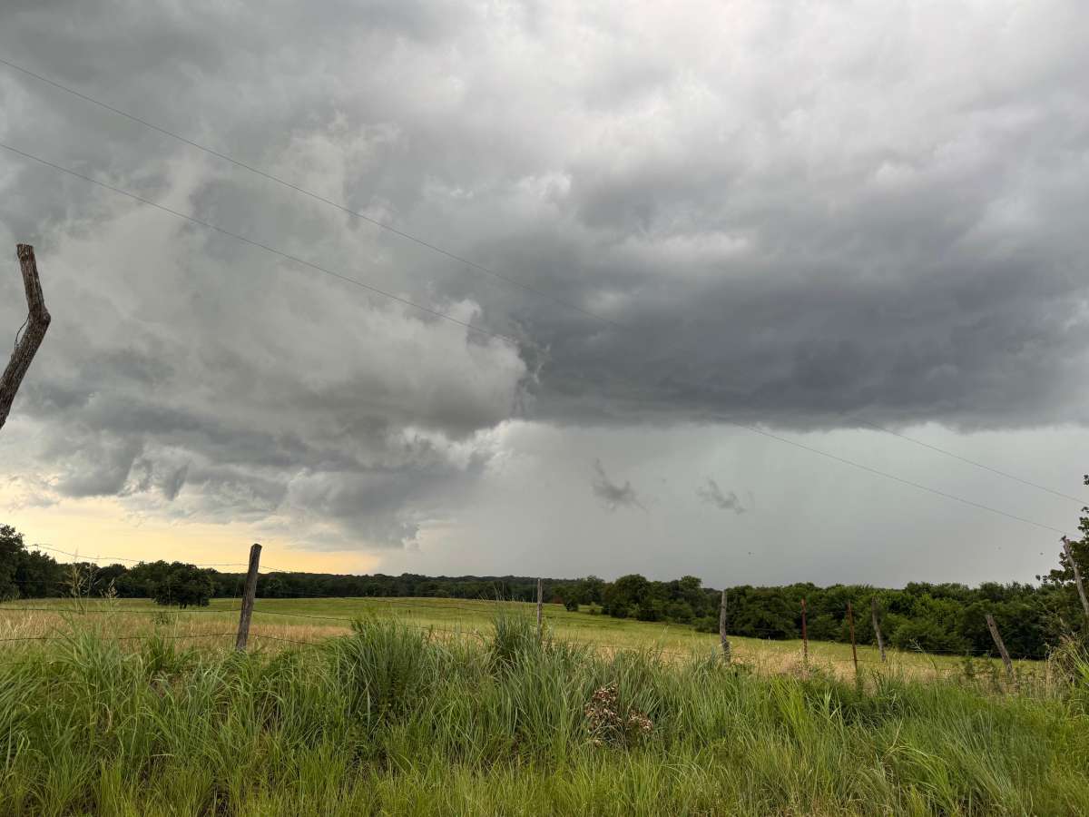 Twelve Mile Prairie Trail #1 photo 6