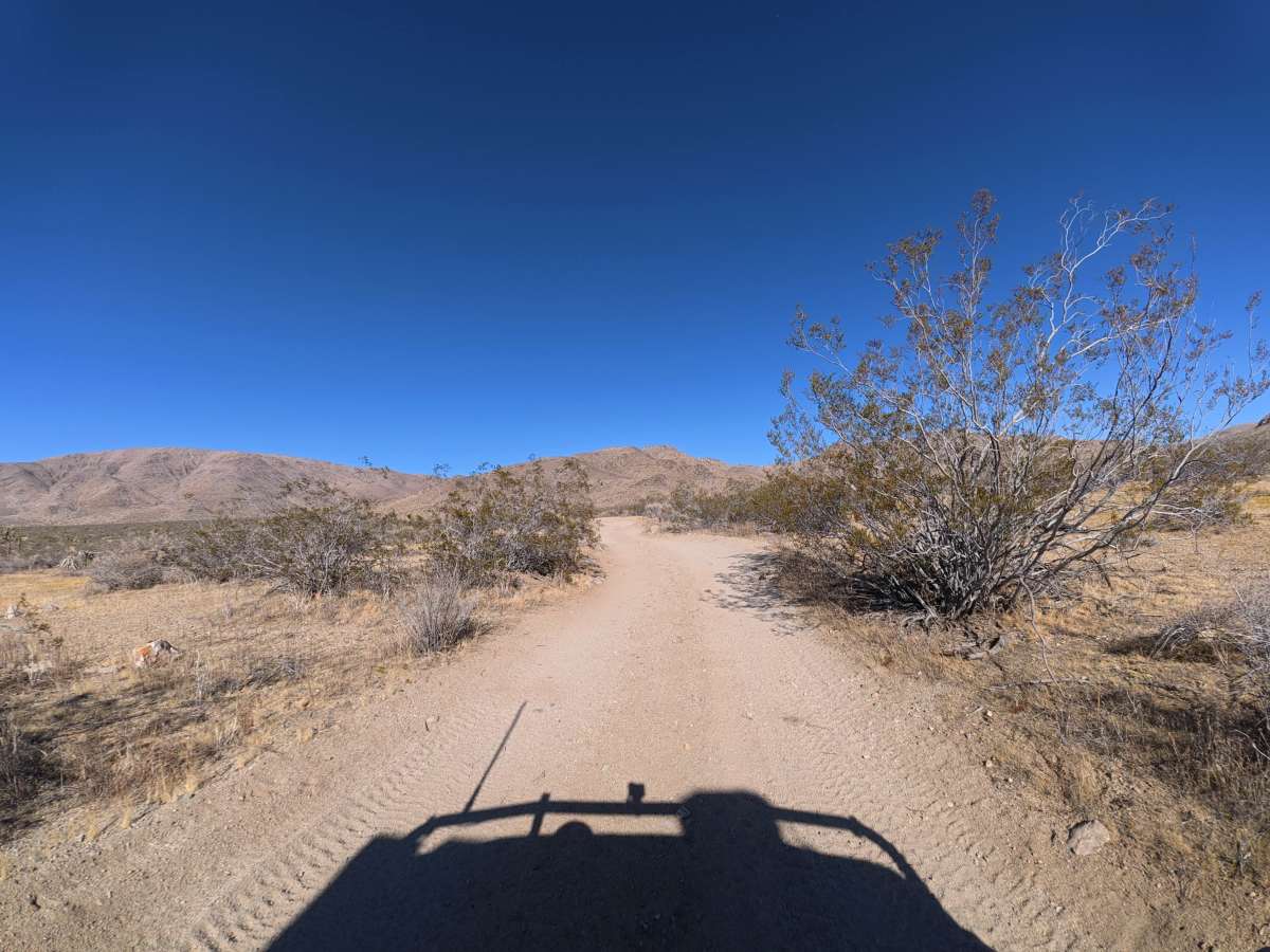 BLM SV2635 photo 5