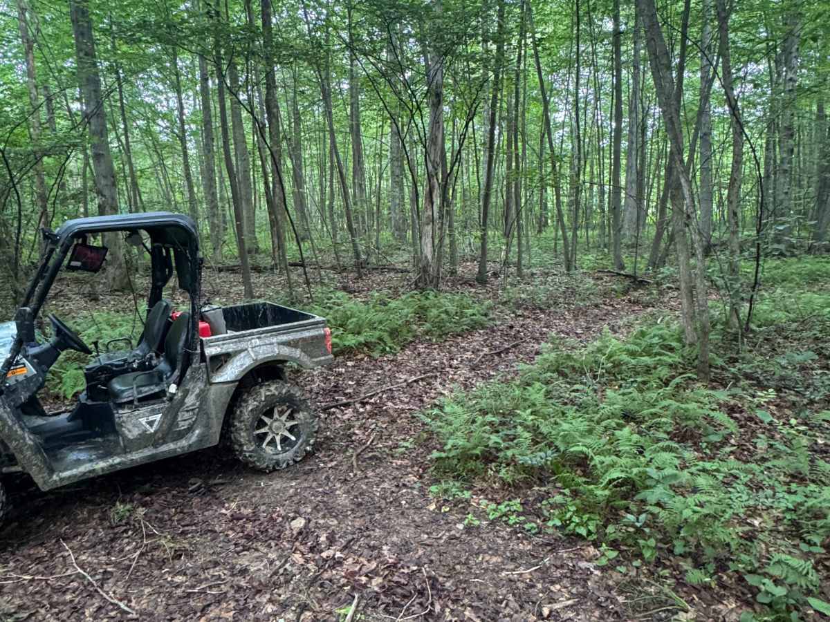 Trail 54 photo 5