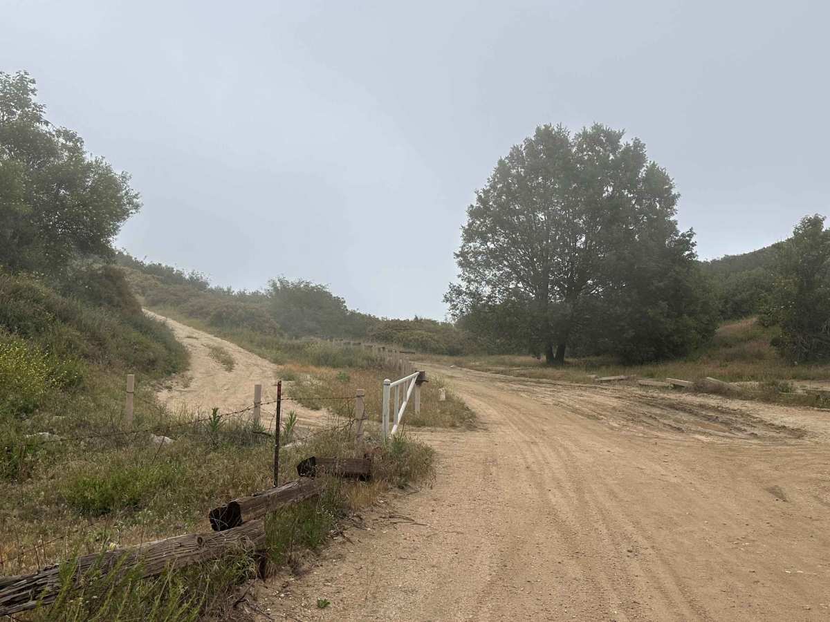 Marshall Peak Summit photo 3