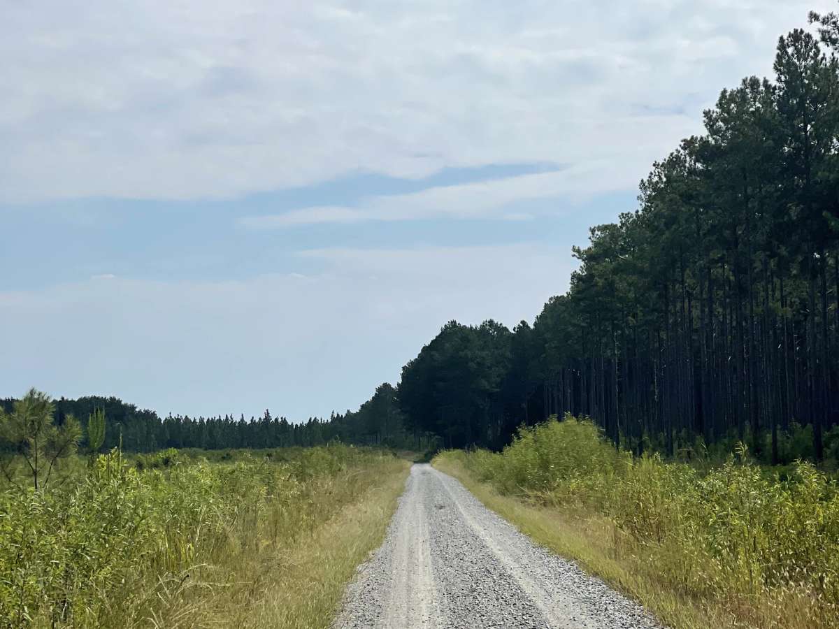 McCoy Road photo 4