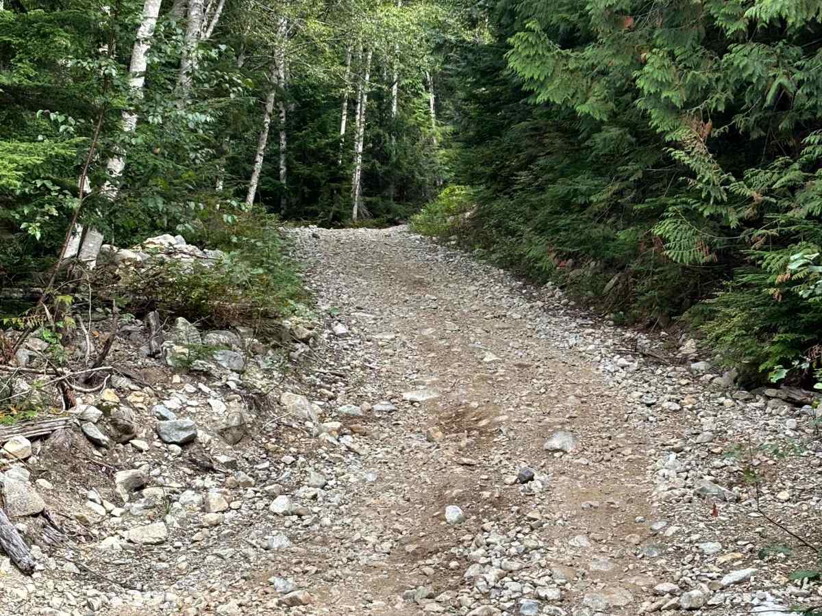 Margaret Creek Pass photo 5