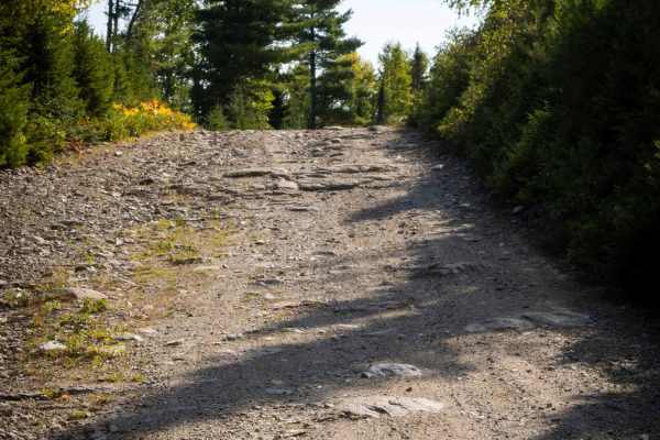 Whitebirch Road A - Trail 22