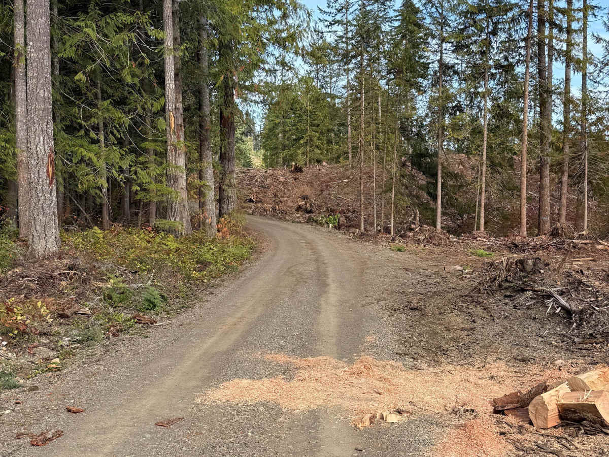 Saddle Mountain Road photo 2