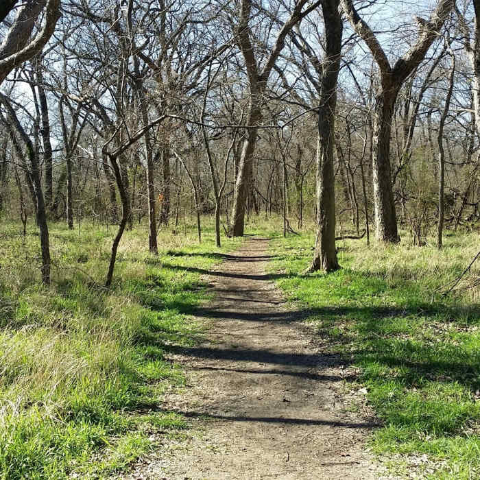 This is a typical trail in the hardwood river-bottoms of the nature preserve. Near Oak Point Park