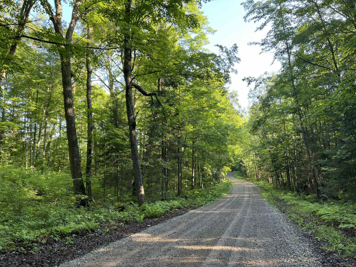  Lost Lake Road - FS 2158 photo 4