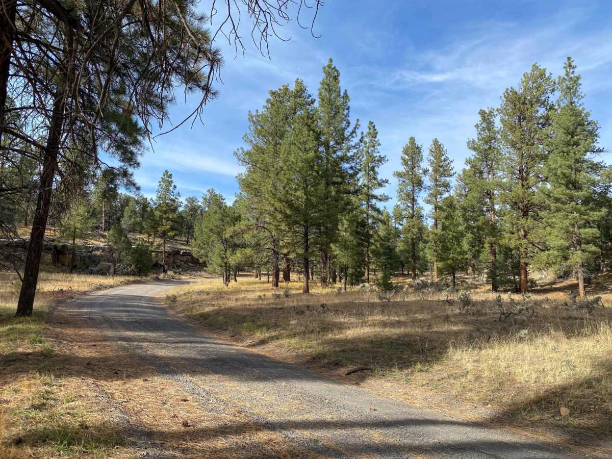 The Great Western Trail 150 photo 6