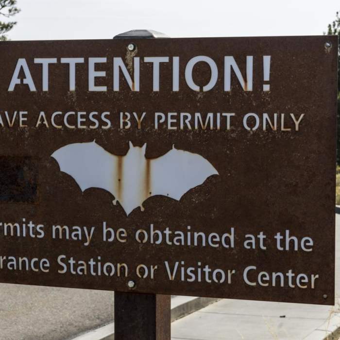 Near Broken Top Loop Hike