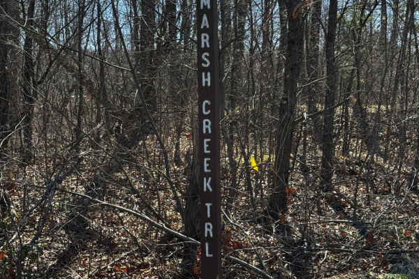 Marsh Creek Trail