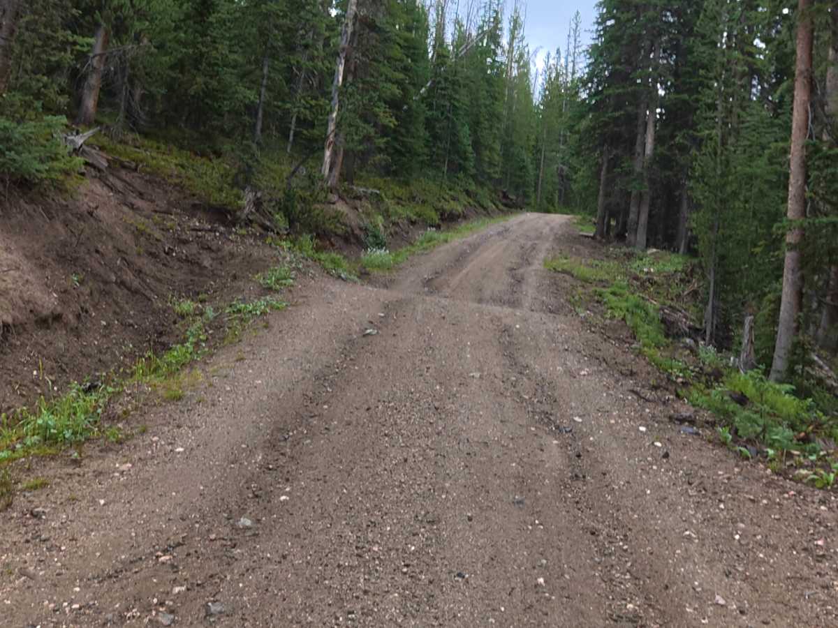Bockman Road photo 6