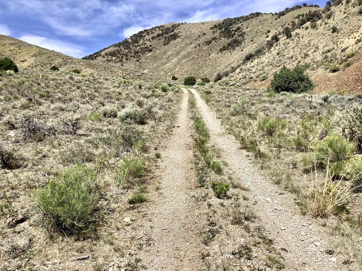 Deer Basin Trail photo 4