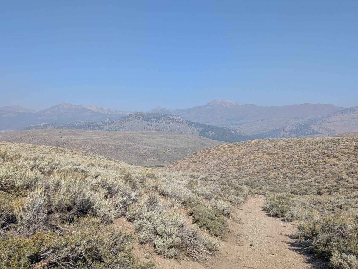 Sage Road East - FS 32066E trail photo