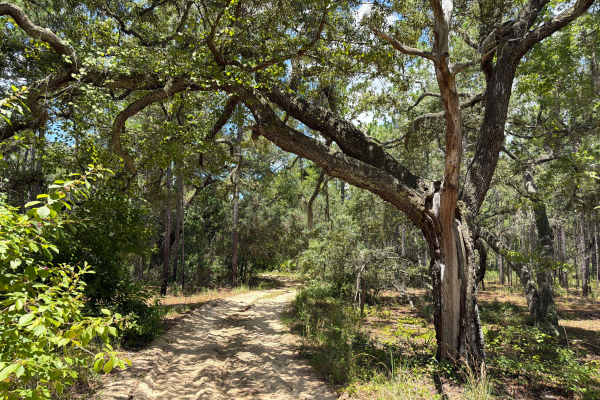 Shoesale Lake Loop