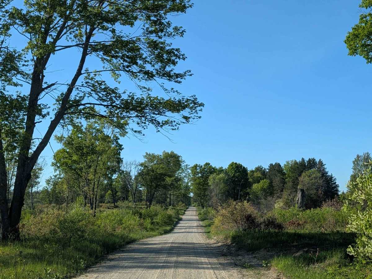 Maple Road photo 6