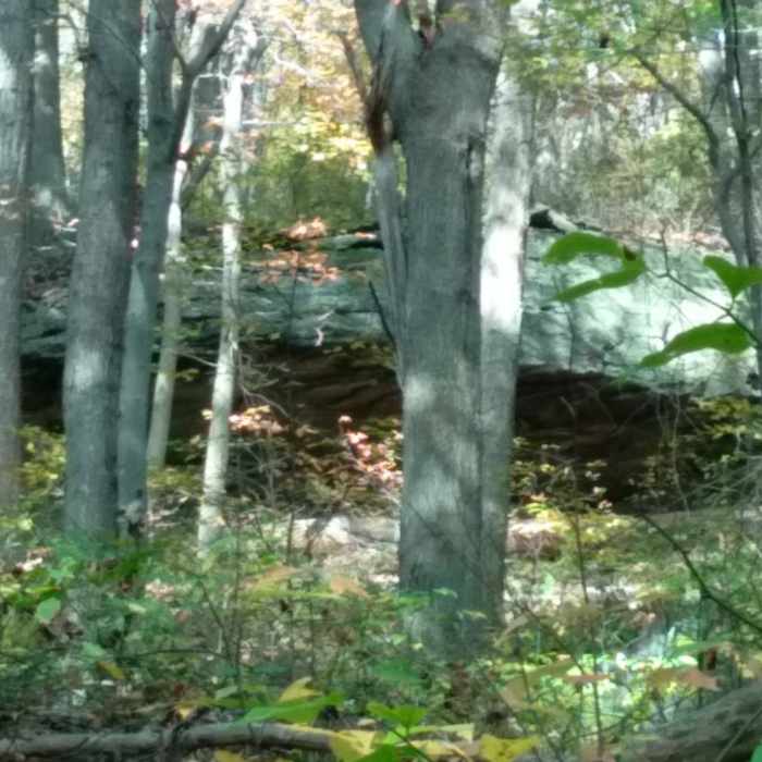 Near Maidenfoot Trail