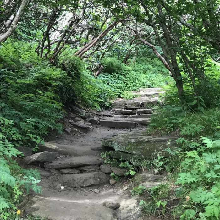 Near Craggy Pinnacle Trail