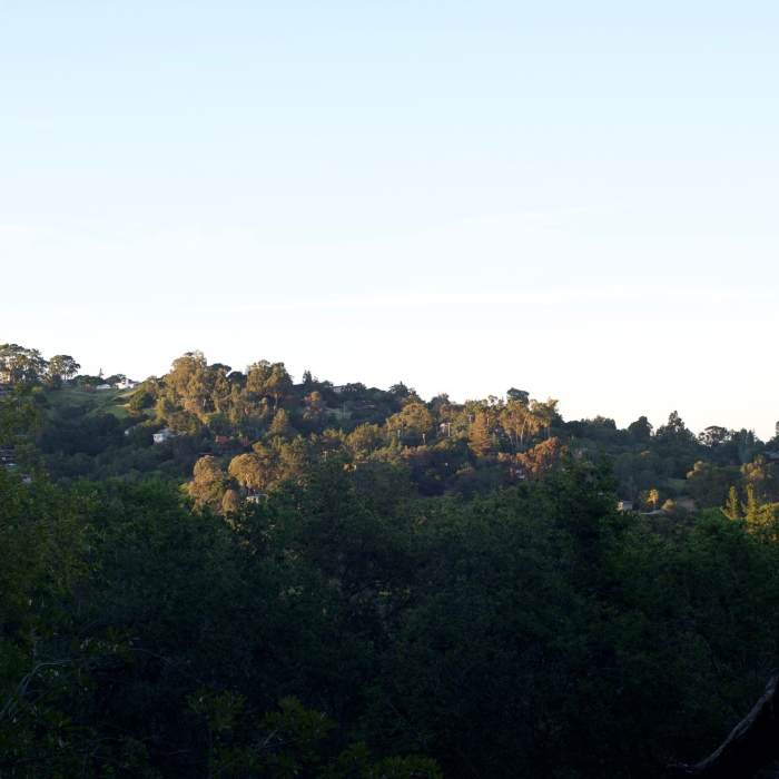 Near Baywood Glen Trail