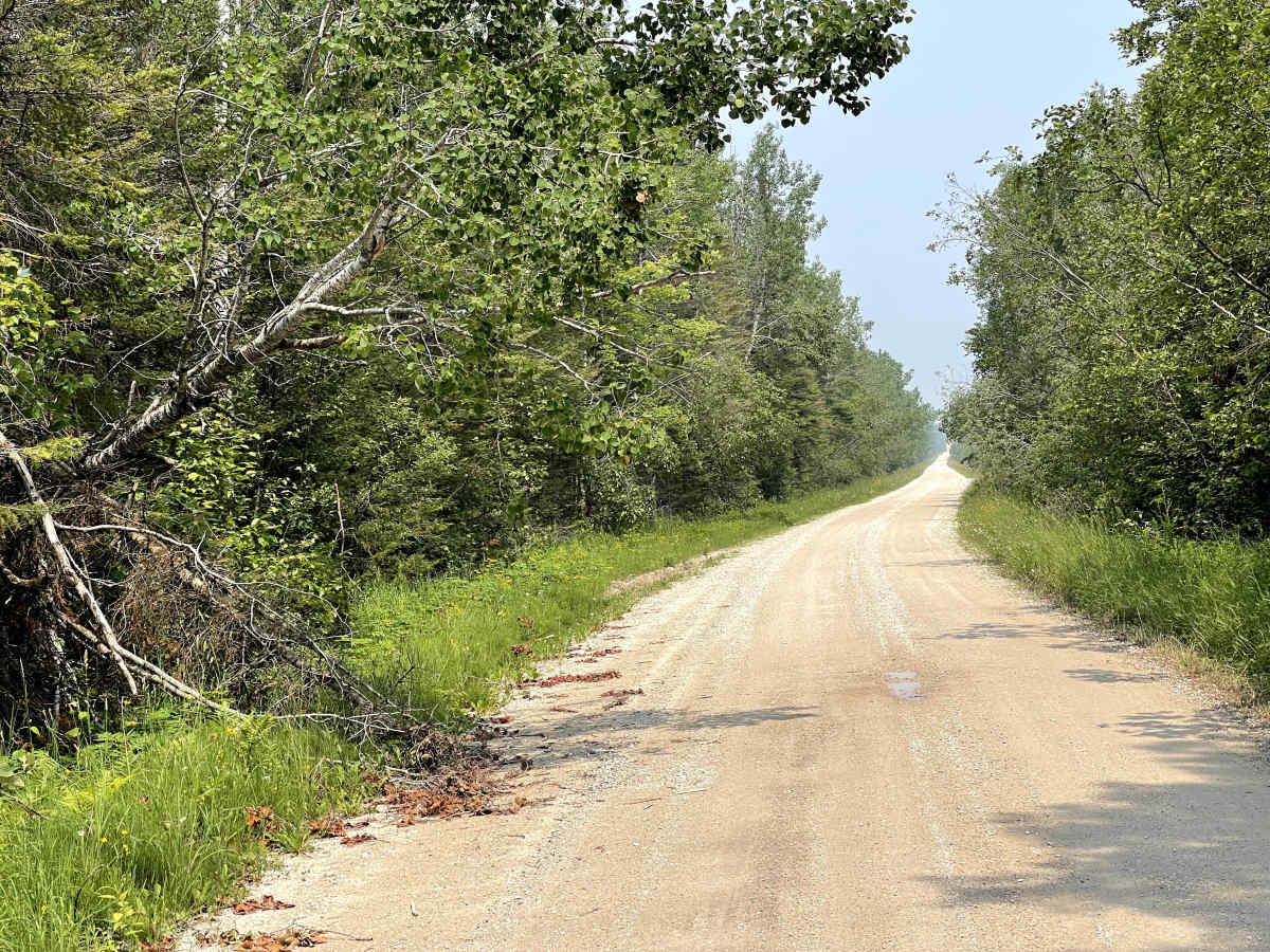 Route 3104 trail photo
