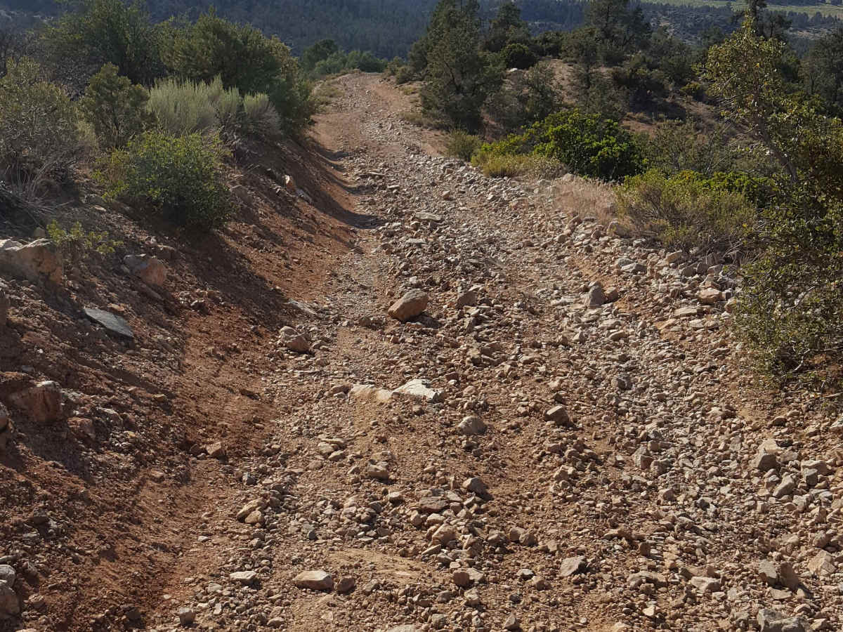 West Frazier Trail - FS 20W03 photo 5