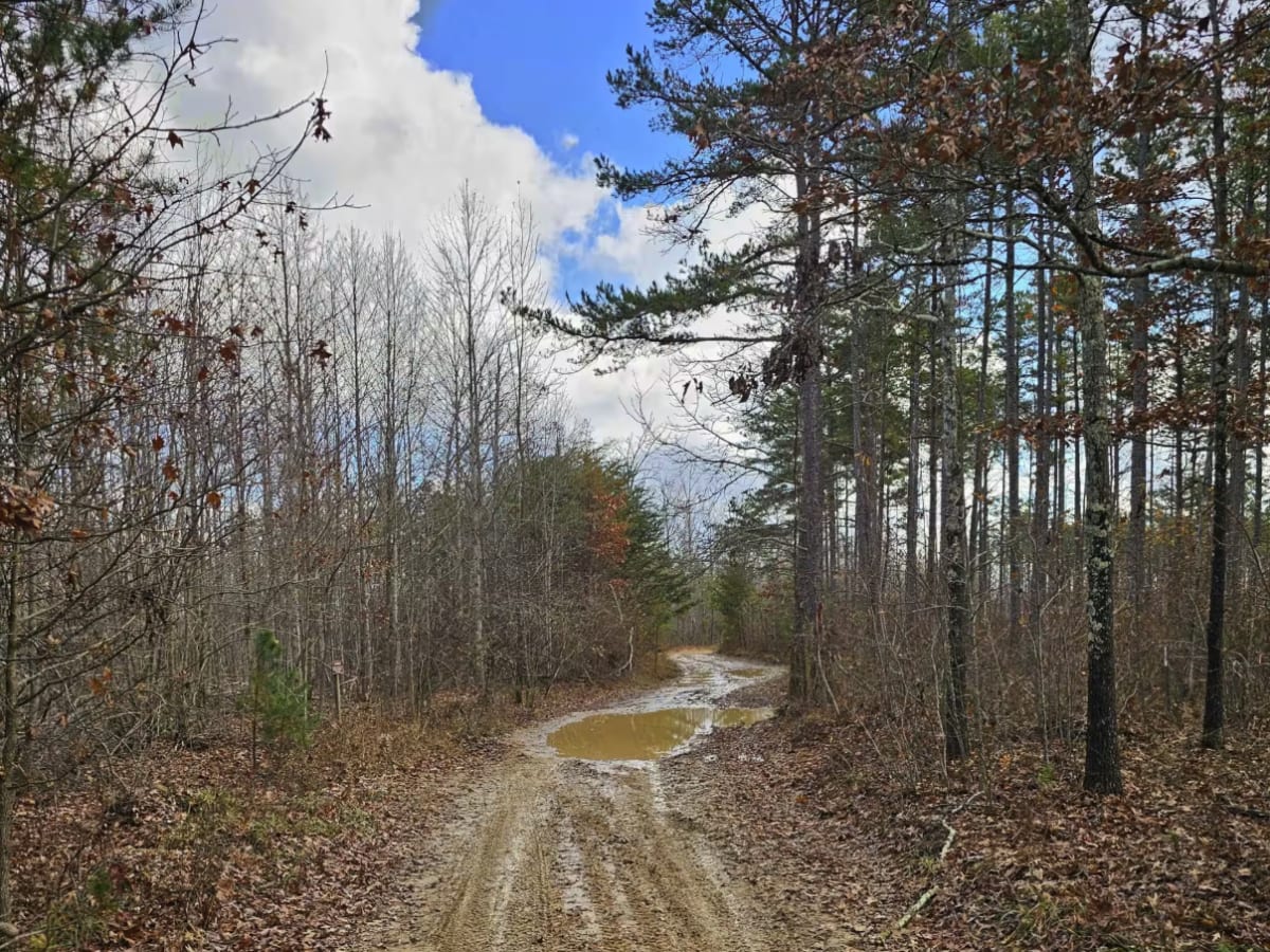 Sulfer Branch Road photo 5