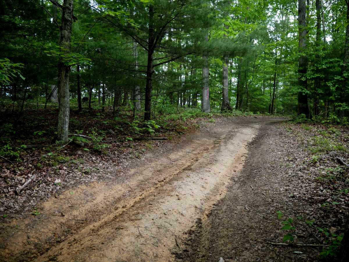 Trail 3 photo 3