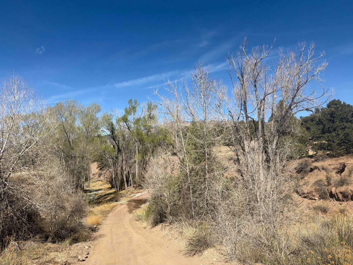 Sand Road - BLM 5980 photo 4