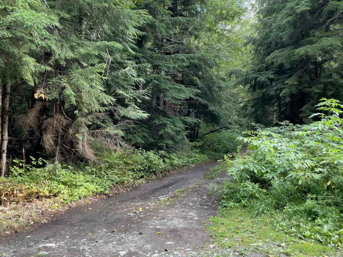 Razor Hone trail photo