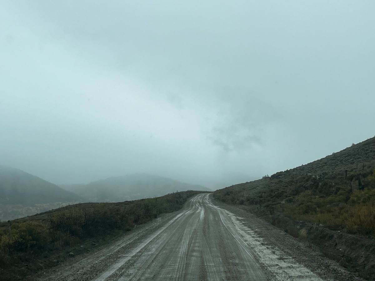 Cottonwood Pass photo 5