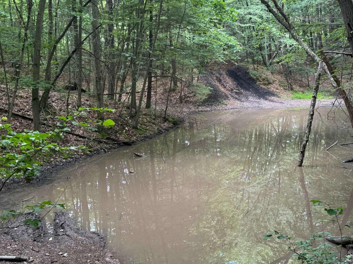 Trail 42 photo 4