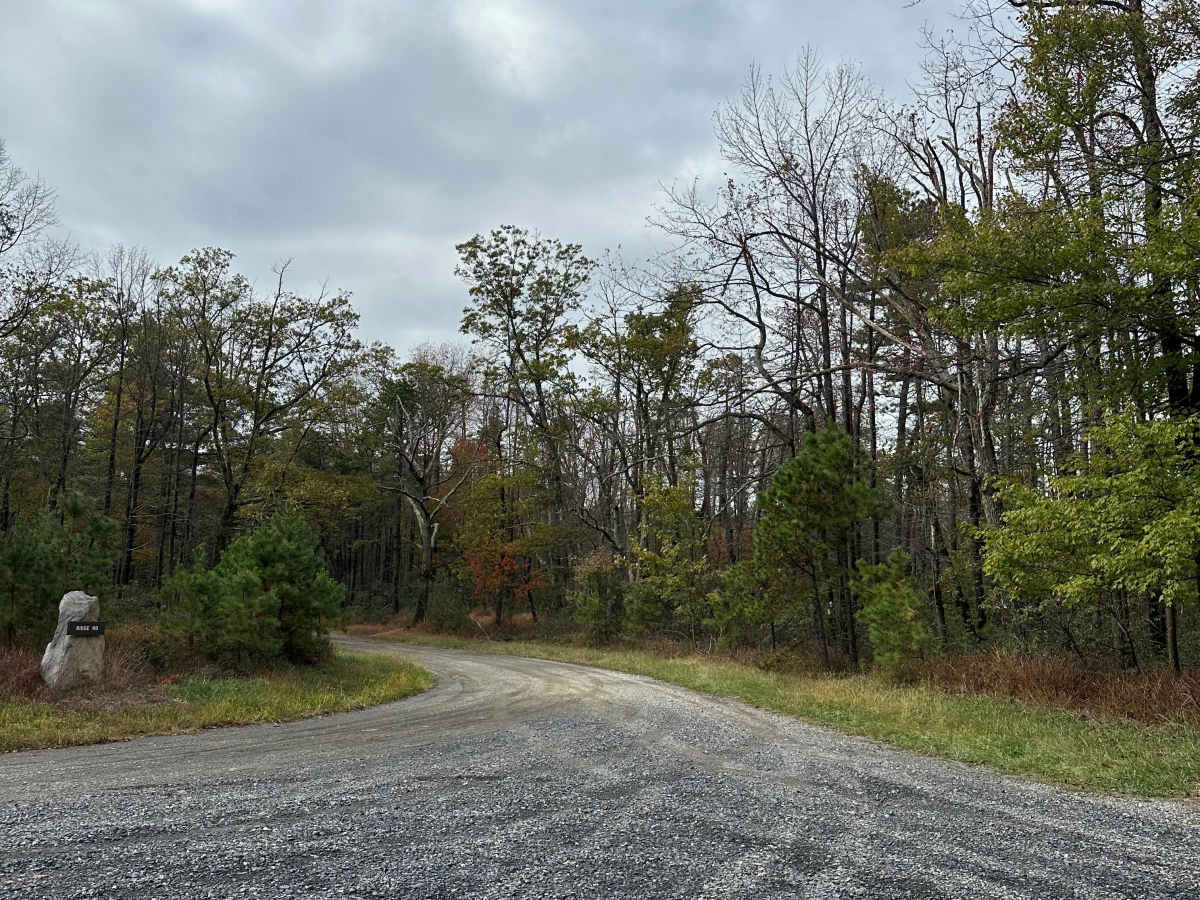 Ridge Road Extension photo 3
