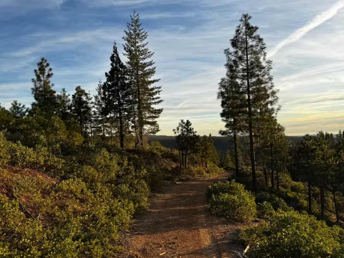 Secret Ridge Route photo 6