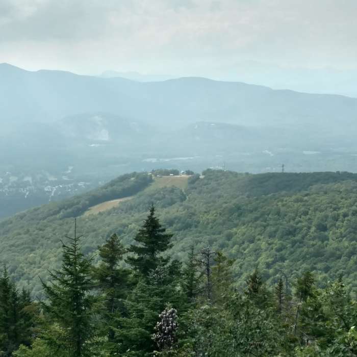 Peak of Cranmore Mountain as seen from Black Cap. Near Black Cap Connector