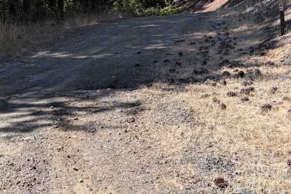 Reagan Meadow Road - FS 28N68