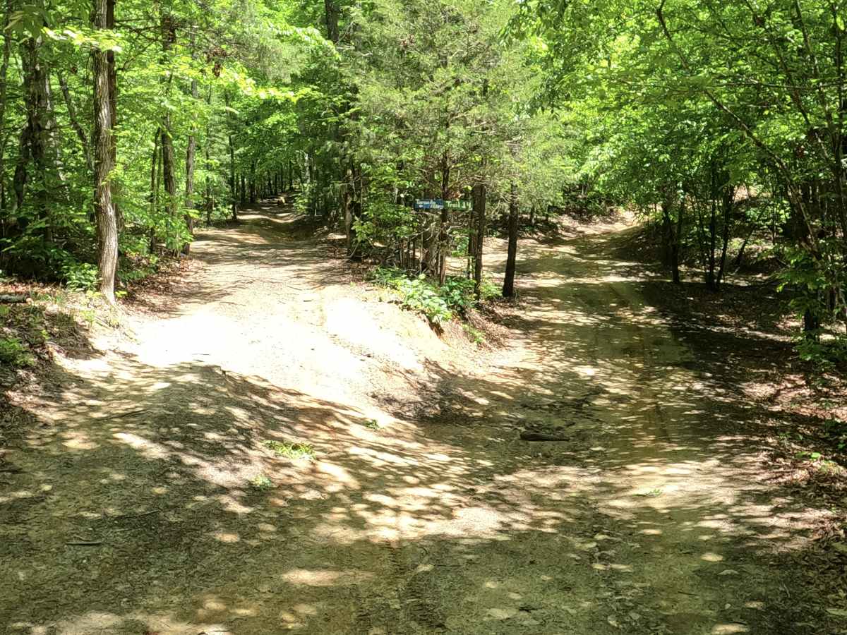 Tornado/Trail 14 Cutoff trail photo
