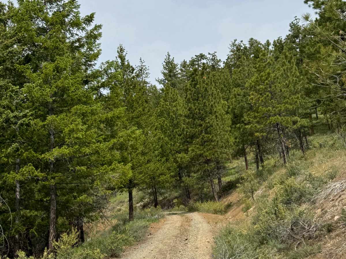 Washington Butte Trail photo 3