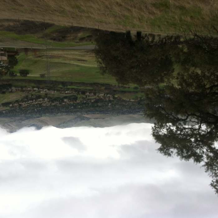 Near Ohlone-Crystyl Ranch Loop
