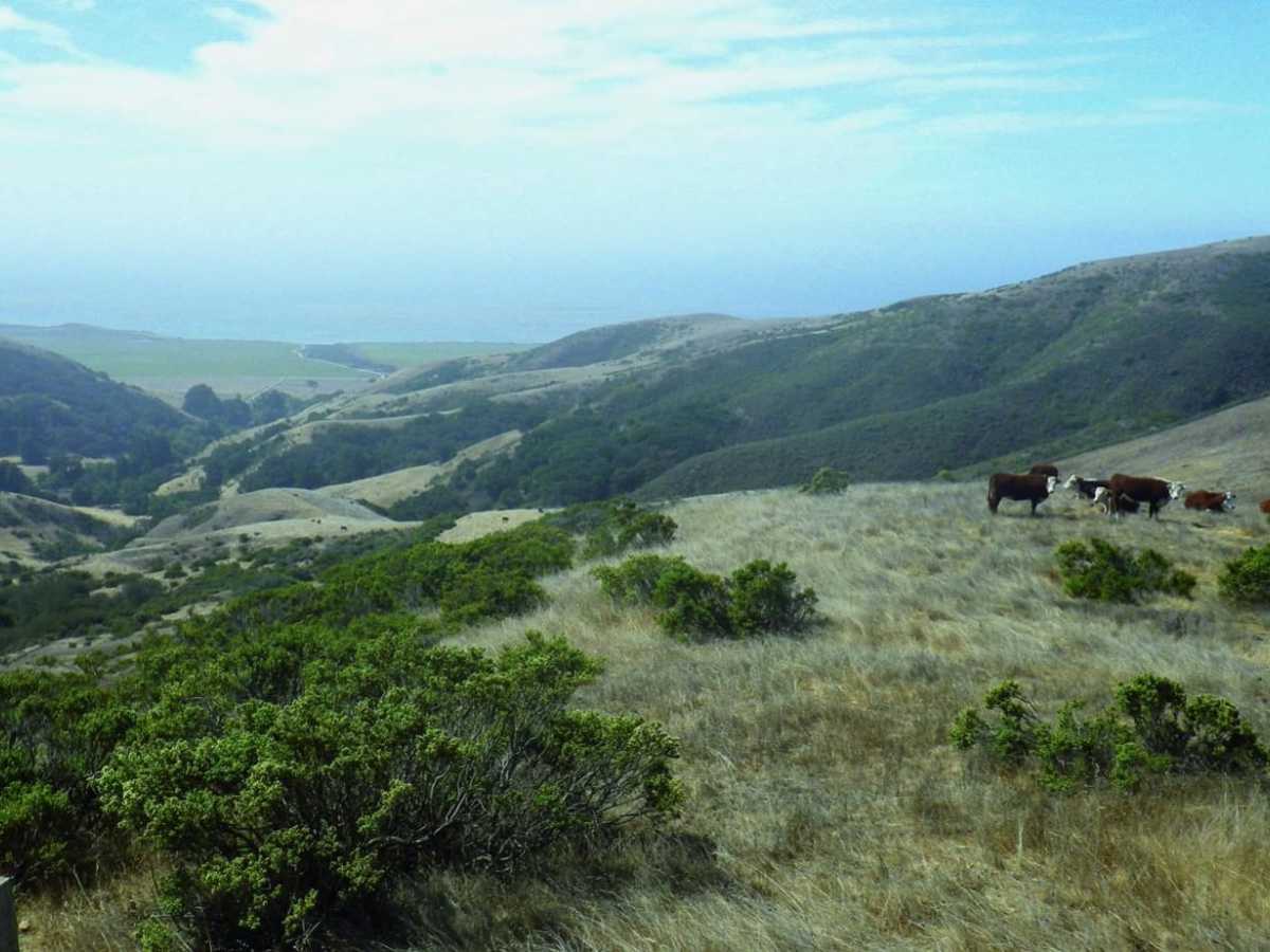 Old Coast Road photo 3